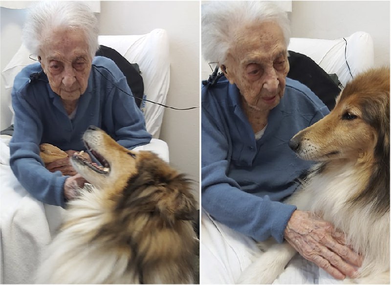 经吉尼斯世界纪录认定的在世最年长者，玛丽亚·布拉尼亚斯·莫雷拉8月19日在西班牙去世，享年117岁