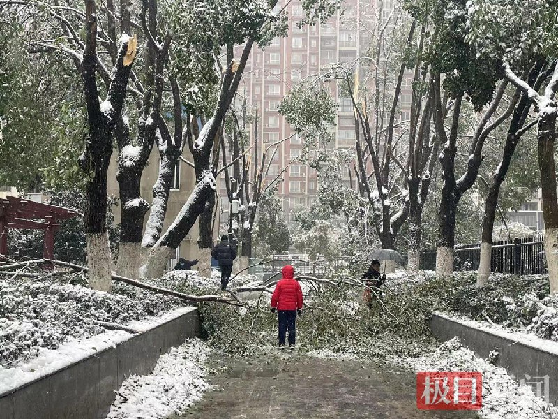 中国遭遇2009年以来最大范围雨雪冰冻天气过程，中央气象台2月5日10时继续发布冰冻黄色预警和暴雪蓝色预警