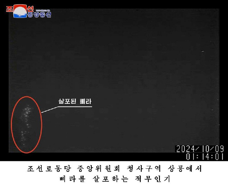 朝鲜劳动党副部长金与正12日发表谈话称，若在平壤上空再次发现无人机将予以报复