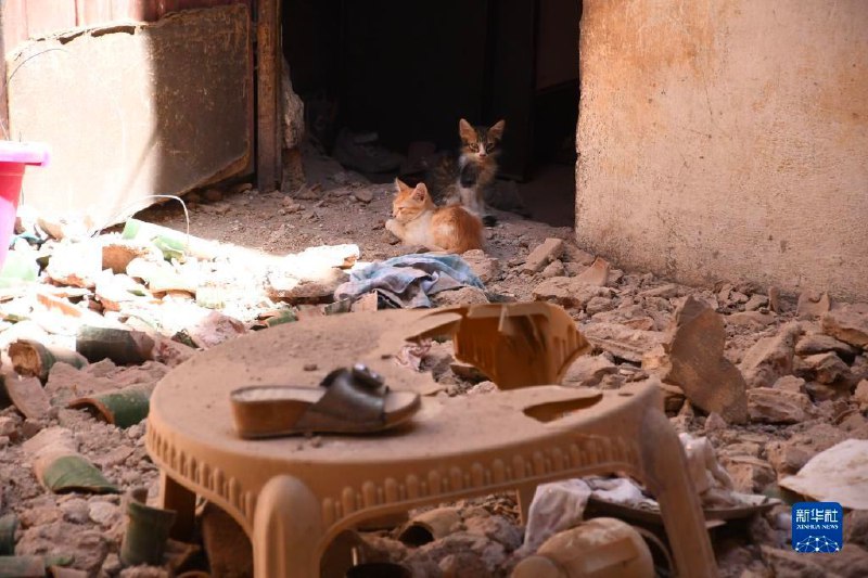 摩洛哥内政部9日表示，该国8日深夜发生的强烈地震已造成1037人遇难，1204人受伤，其中721人伤势严重